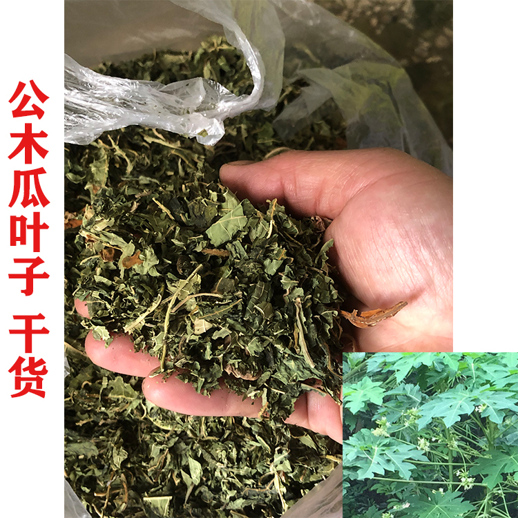 Farmhouse-Dried Dried Papaya Leaves, Dried Male Papaya Leaves, Original Chinese Herbal Medicine, Papaya Leaves 500g 