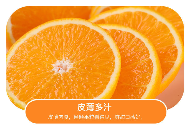 不若水/湖南麻阳冰糖橙当季时令新鲜水果