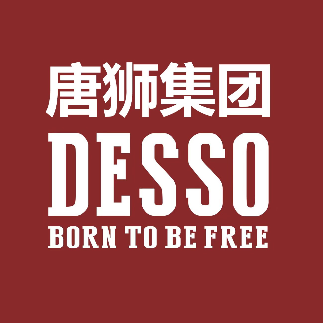 DESSO线上品牌折扣店的LOGO