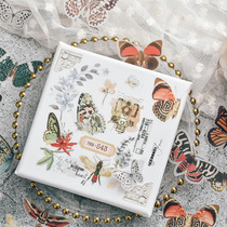  Judys new handmade vintge hand account material light retro watercolor plant butterfly print white ink