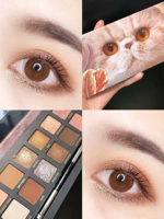 Кошачье блюдо отправить щетку для тени для век