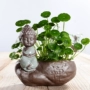 Zen nước văn hóa gốm không xốp chậu hoa bình hoa thịt chậu thoáng khí tiền cỏ thủy canh xanh trang trí cây xanh - Vase / Bồn hoa & Kệ bình thủy tinh trồng cây