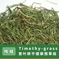 Squeak wide leaves drying north ti Moshe grass section Gansu Longcat Rabbit Rabbit Dutch pig 8 kangaroo pasta grassy tooth main grain