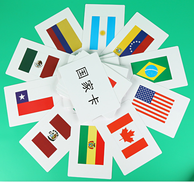 Right Brain Development Flashcards Full Suit Seven Fields Early Teaching Facebook Cards Dolle Wise Young Children Literacy Flashcards Durman