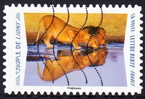 French letter stamps 2020 Animals and their reflections 12-3: Lion