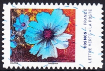 French letter marketing stamps 2020 Colors of cosmic flowers 12-10