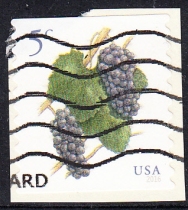 United States Letter Marketing Stamp Cutting 2016 Fruit Grapes