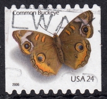 United States Letter Sales Stamp 2006 Butterfly (no teeth on the left and right)