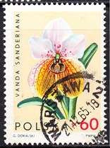Polish Letter Marketing Stamp 1965 Orchid 9-5
