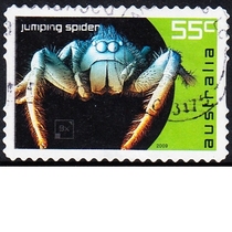 Australian Letter Sales Stamps 2009 Micro Monsters 6-4: Jumping Spider (self-adhesive)