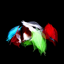 Natural cicada wing leaf plate decoration embellishment Hotel Restaurant Club chef supplies artistic conception dish simulation soil decorative leaves