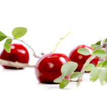 Cherry foie gras mold food grade silicone plate plate fermented bean curd abrasive tool crystal ball shape plastic cake creative touch