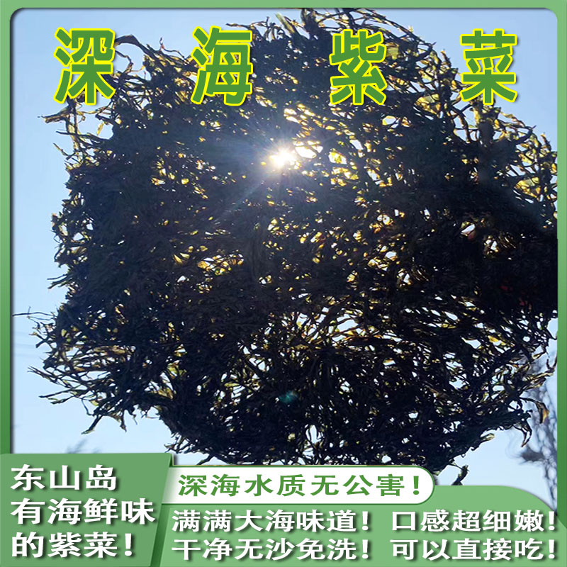 East Mountain Deep Sea Head Water Purple 250g Natural Wild both Quality Original Taste Children Purple Vegetables Free of salt and no sand