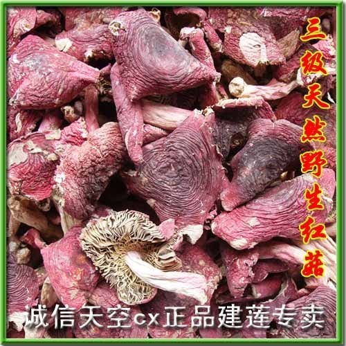 Wild positive red mushrooms natural fully open mushrooms 100g Fujian Wuyi Mountain Shao Vuitsan to eat mushrooms dry goods direct sale