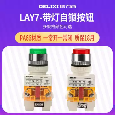 Delixi button switch with indicator light Power switch button 220V Self-locking self-duplex 24v high button