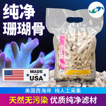 Two small fish in the United States sea coral bone West Coast coral bottom sand coral sand coral bone sea tank filtration