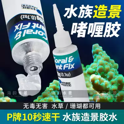 P Brand Glue alongfa gel water grass coral special ten-second quick-setting gel glue Water family supplies
