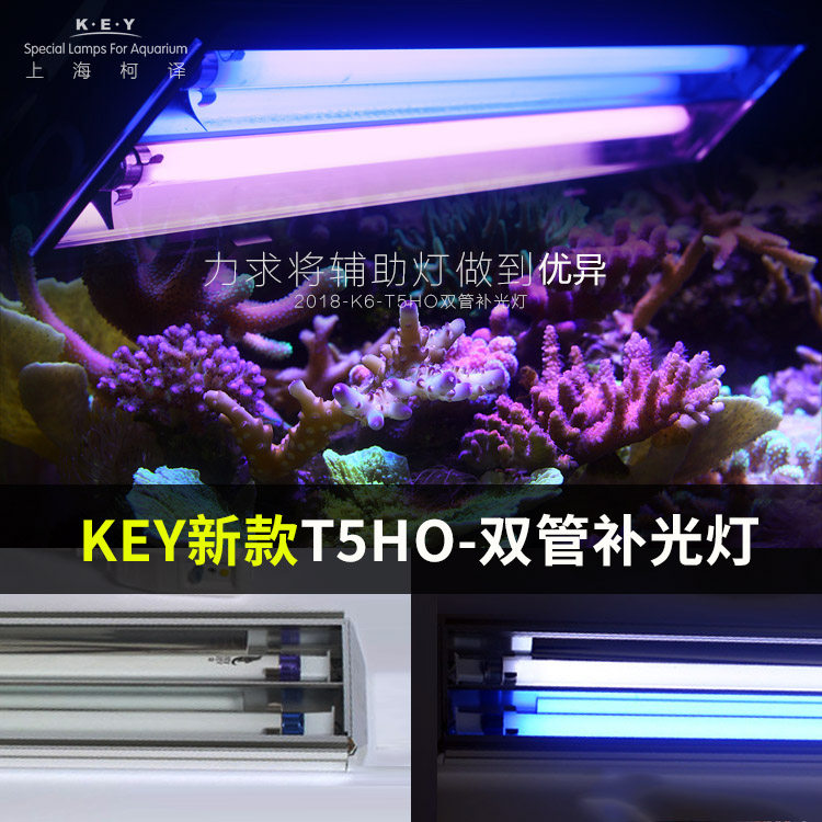 Ke translation KEY sea water fish tank T5HO lamp plate double tube fill light t5 light light special offer