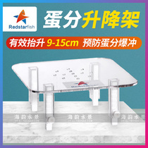 Red Sea Star egg sub-lifting bracket height high small medium large lifting frame special price