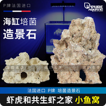 P brand landscape stone shrimp Tiger and symbiotic shrimp home ecological cultivation seawater fish tank landscape shrimp nest non-explosive algae