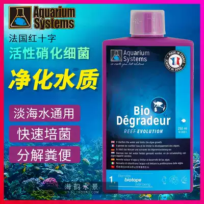 French Red Cross imported freshwater seawater active nitrifying bacteria Aquatic water purifier digesting bacteria 250ml
