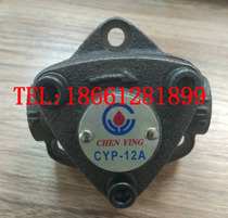 CHEN YING C Y Taiwan imported Zhenrong motor pump Triangle Pump CYP-10A-11A-12A-13A