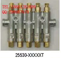 Nanjing Beqier SJM positive displacement pressure relief quantitative oil injector Bezier oil discharge distributor 22954 25530