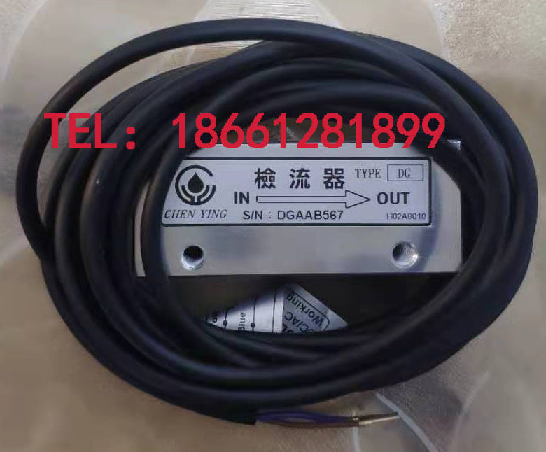 CHEN YING Taiwan Changhua Zhenrong magnetic reed type current detector return type oil injection machine accessories DG11D002 01