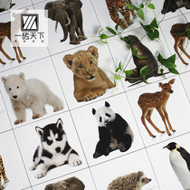 Cartoon Kindergarten Animal Pattern Flower Brick Toilet Kitchen Background Wall Brick Amusement Park Children Room Non-slip Floor Tiles