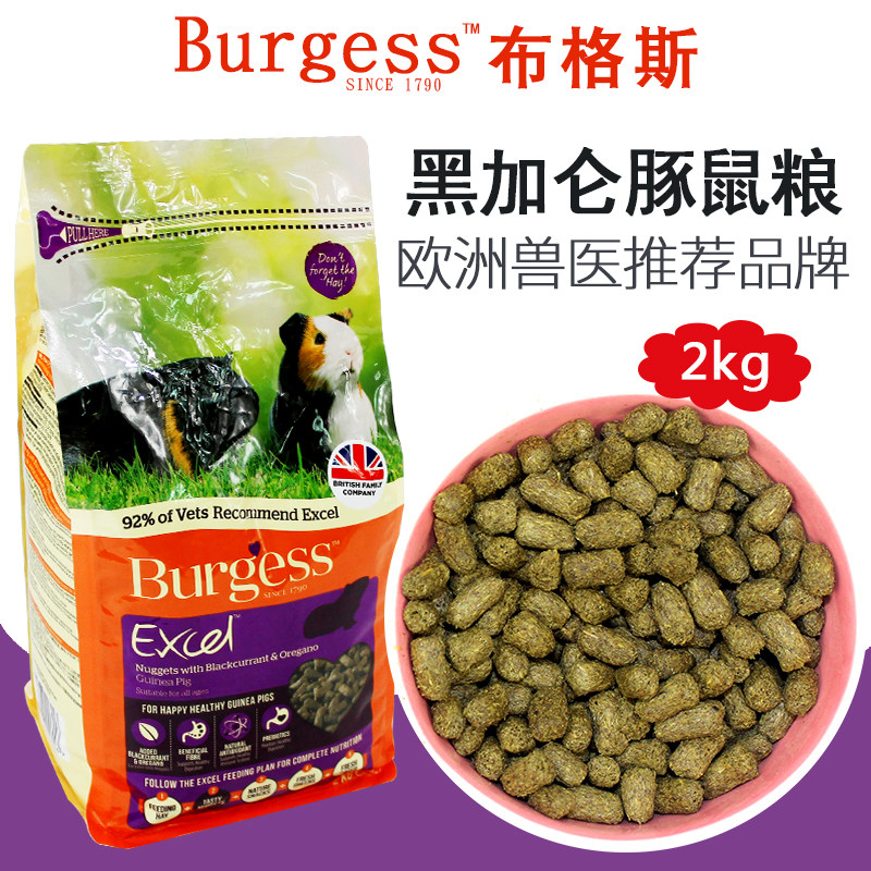 Spot Bugs black currant guinea pig grain high-fiber guinea pig grain 2kg Bugs black currant guinea pig grain feeding