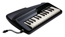 Japan Suzuki accordion keyboard recorder Andean andes 25F
