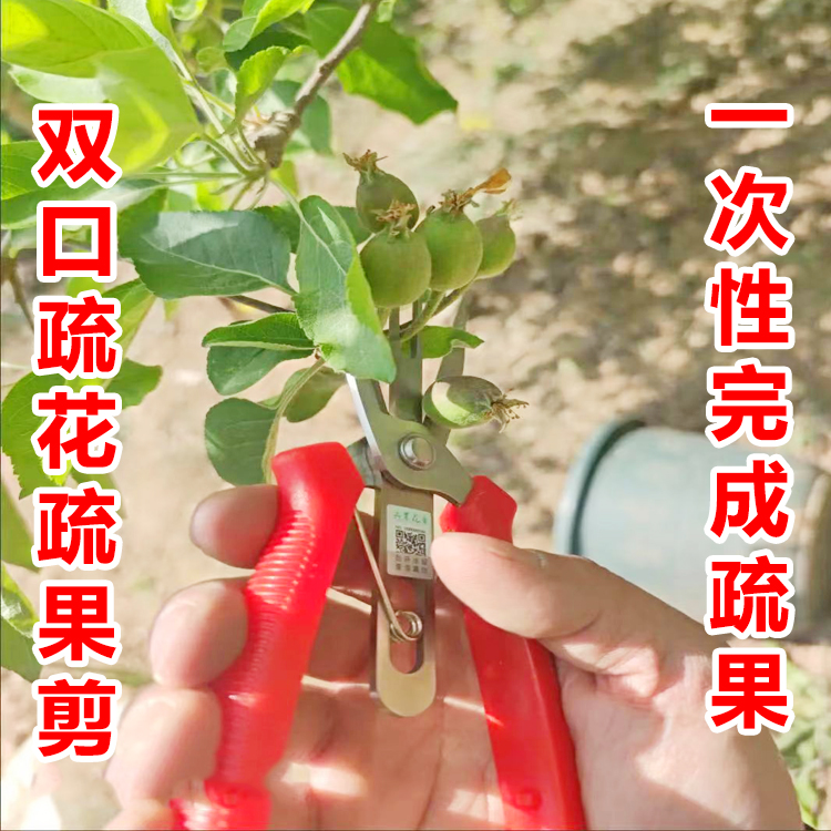 Apple pear tree fruit tree flower thinning fruit special double mouth thinning fruit cut thin flower thin fruit scissors pear tree flower thinning artifact