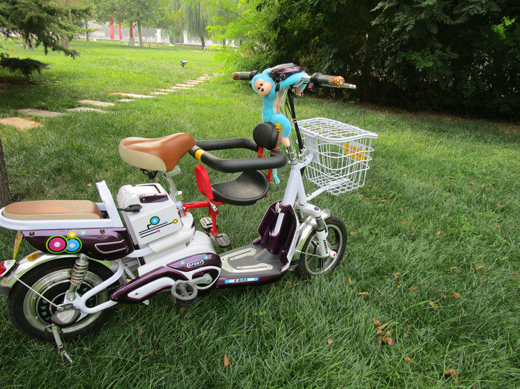 siège enfants pour vélo - Ref 2418947 Image 25
