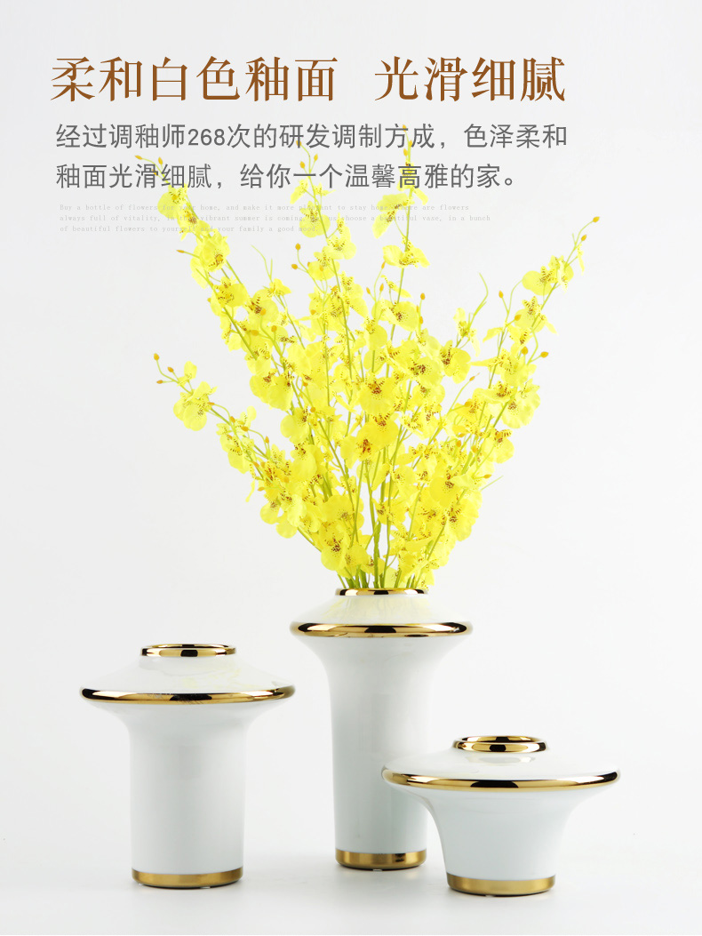 Modern light key-2 luxury ceramic vase decoration furnishing articles American TV ark, sitting room porch dry flower, creative household act the role ofing is tasted