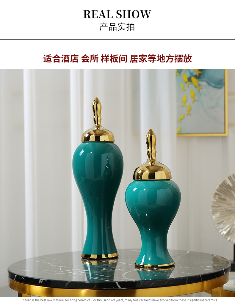 Light the key-2 luxury of modern ceramic vases, flower arranging dried flower implement new Chinese style furnishing articles, the sitting room porch between example home decoration