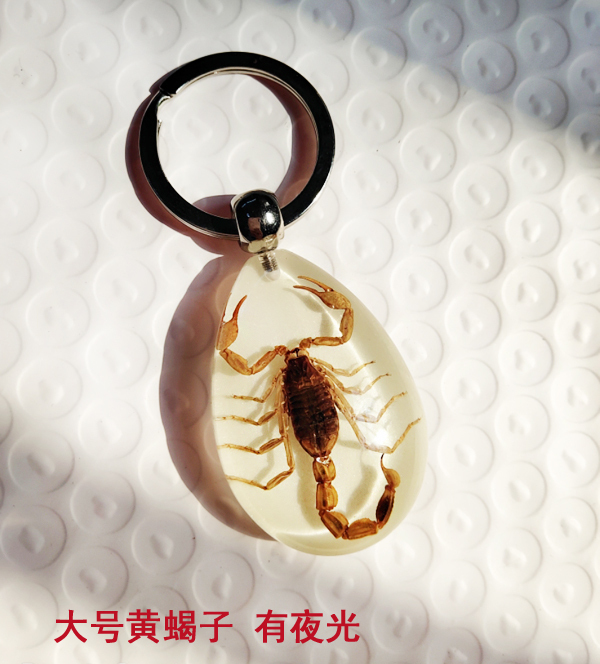Real Insect Specimen Scorpion Amber with Luminous Car Keychain, Retro and Personalized Creative Tourist Area Specialty Gift
