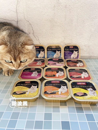 Vom cat kitcat milk cat multi -vhocked cat main еда коробка кошачья консервированная кот 100 г котенка