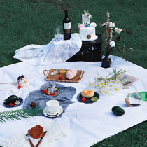 ins picnic mat Outdoor portable waterproof super Jamboree park outing thickened lawn moisture-proof mat Picnic supplies