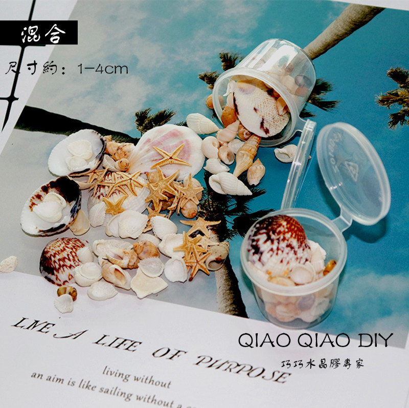 Coincidentally UV Drop Glue Natural Shell Sea Star Sea Snail Craft Gift Hem Accessories Seashells Sea Star Sea Snail Adornment Mini Haisha