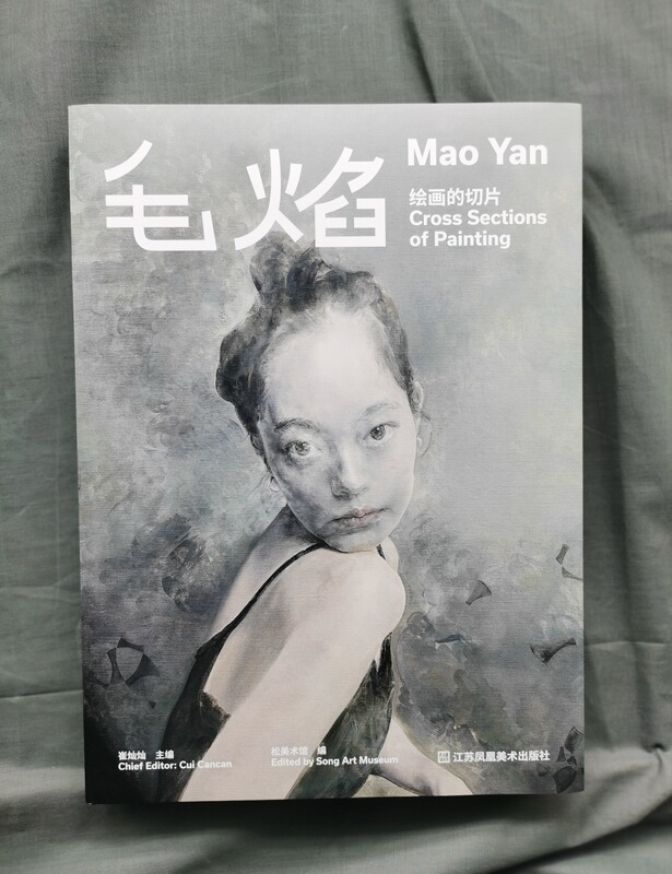 The Slices of Painting: a Collection of Mao Yan's Oil Paintings Published in 2024, Exhibition of the Same-Titled Works in 2023 The Slices of Painting: a Collection of Mao Yan's Oil Paintings Published in 2024, Exhibition of the Same-Titled Works in 2023