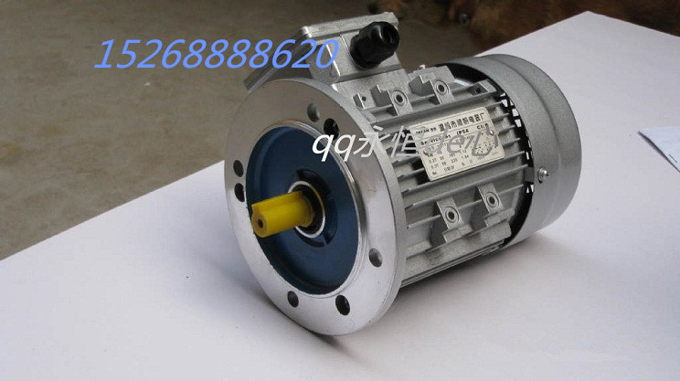 YS90 aluminum shell 2800 rpm 1 5KW2 2KW2P two-pole 2-pole three-phase motor custom non-standard motor