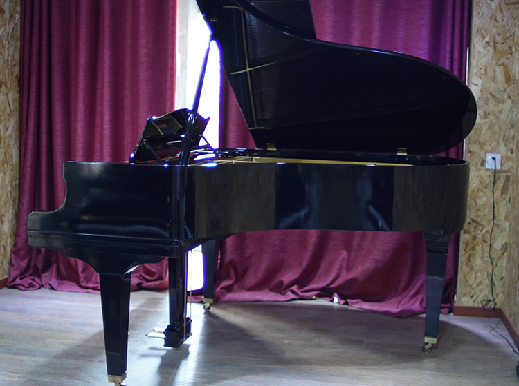 DIAPASON Depason 183 grand piano chơi piano Nhật Bản thương hiệu KAWAI casio ap 270