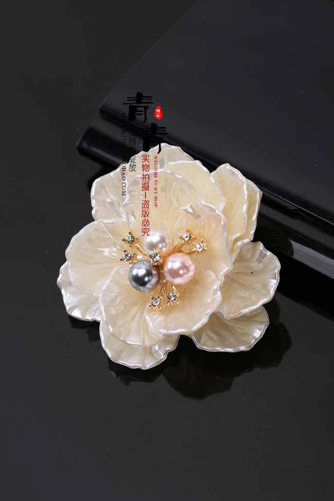 Broche femme en Nacre - Ref 1175679 Image 18