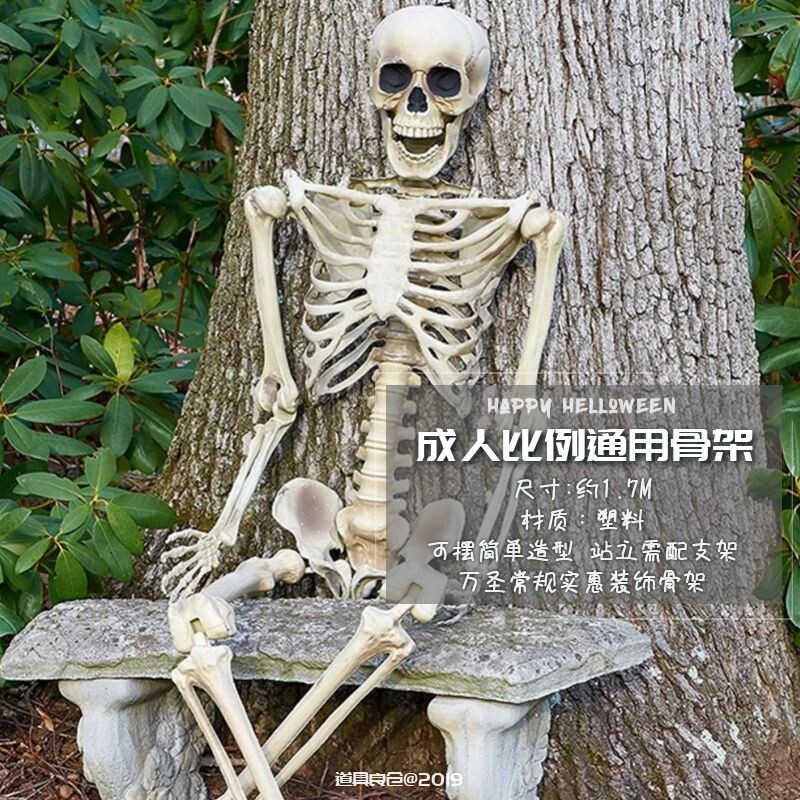 (Halloween) Special 1 7M Adult ratio Skull skeleton Halloween Universal Decorative Routine