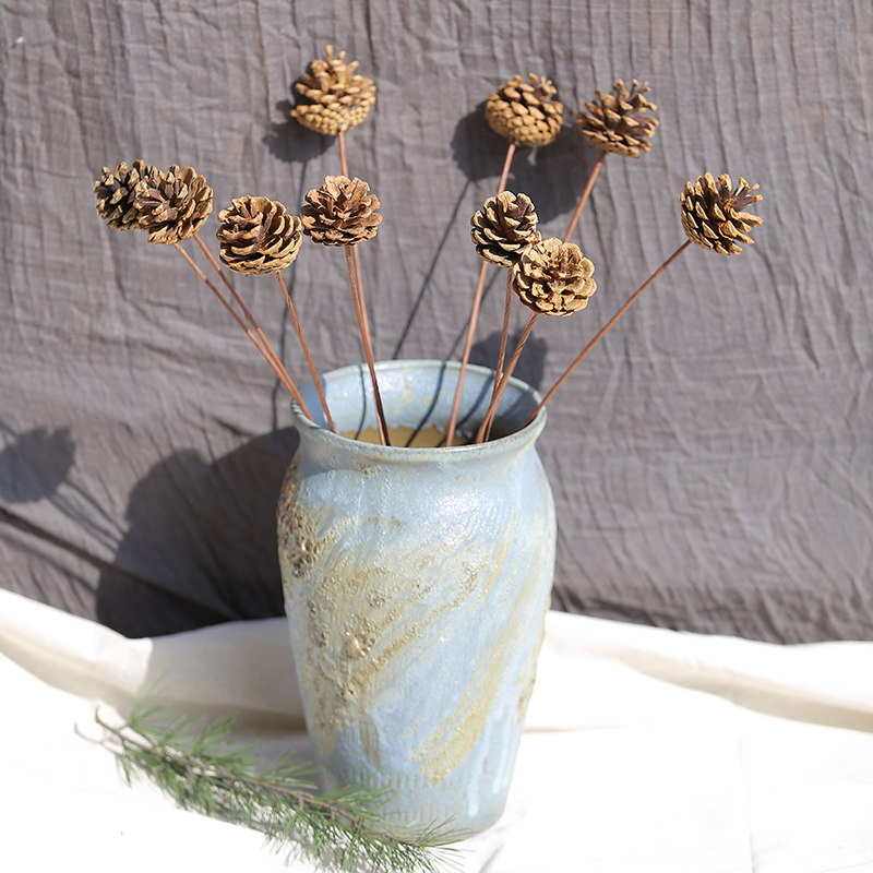 Pine Nuts Decoration Dry Flower Lace With Rod Pine Fruits Perpetual Raw Flower Pendulum Pieces Dinning Flowers Photo Background Props 