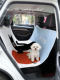 Bobo Dog Pet Car Backseat Cushion, Special Car Seat Cover for Dogs, Anti-Dirt Isolation Mat, Cat Car Travel Essential