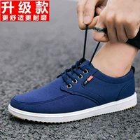 839 обновление орхидеи