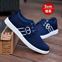 D-902 Blue+Pad Height Pad