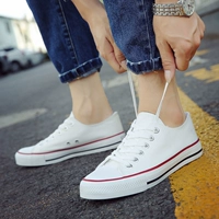 H01 мужской белый красный край