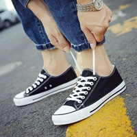 H01 мужской черный